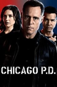 Chicago P.D.: Season 2